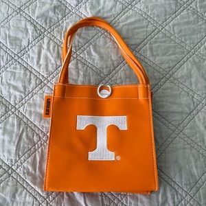 Small Tennessee hand bag